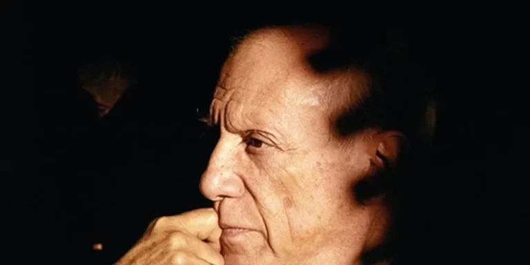 immagine per Picasso linguaggio delle idee