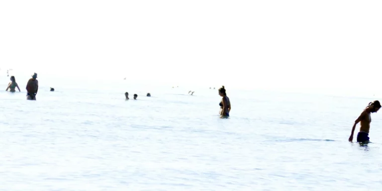 immagine per Fluttuazioni di Progetto 8 a Gaeta