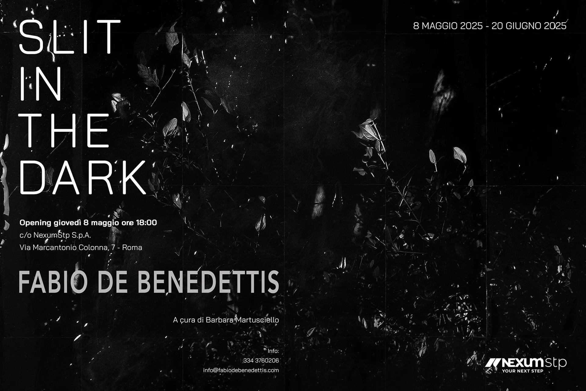 immagine per Slit in the dark, Fabio De Benedettis