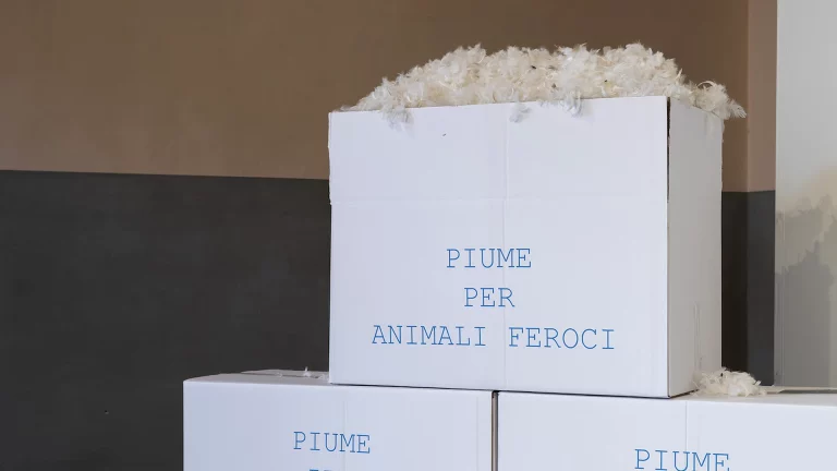 immagine epr Fondazione Morra Greco, due mostre due artisti. Peter Fend e Marina Xenofontos