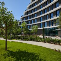 immagine per The Social Hub foto di TSH