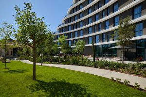 immagine per The Social Hub foto di TSH