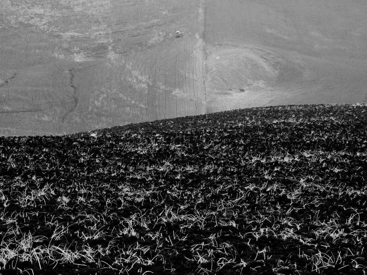 immagine per Alex Majoli, Ozio