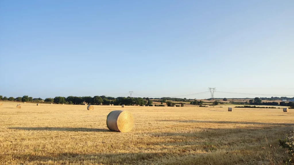 immagine per Caggiano, panorama, ph Libero De Cunzo