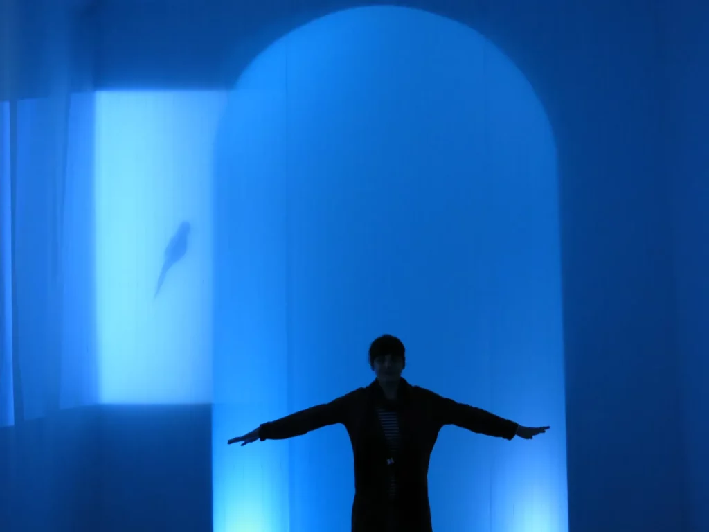 immagine per Leila Mirzakhani installazione You Can’t go home again 2014