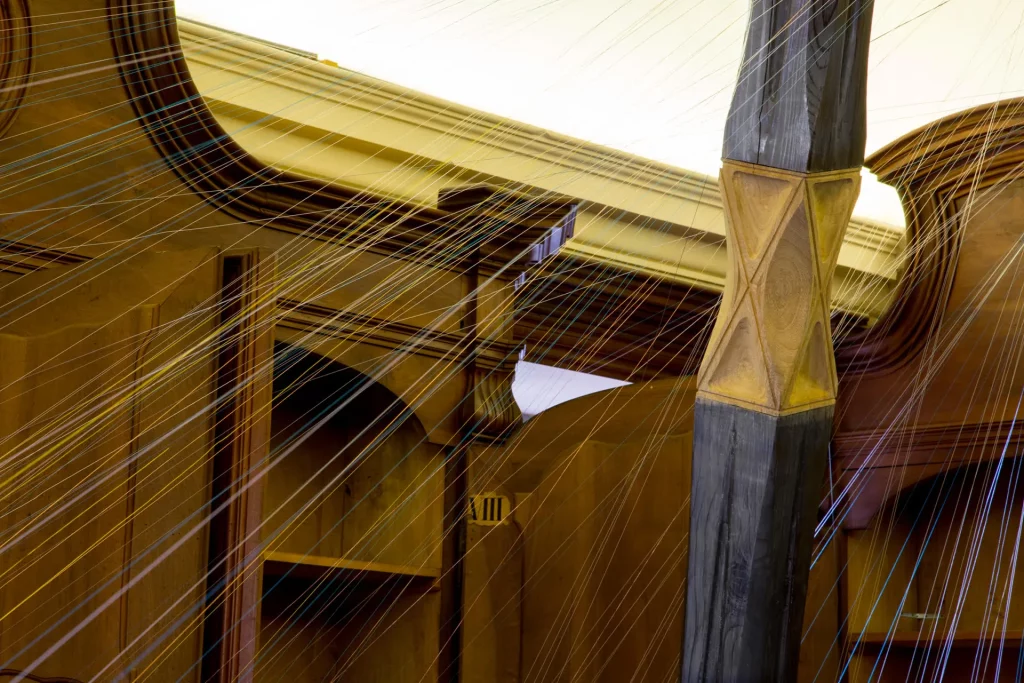 immagine per Santiago, Harp (dettaglio) – Premio Matteo Olivero 2019