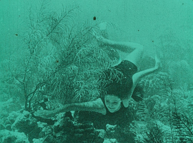 immagine per Festival CinemAmbiente 2025