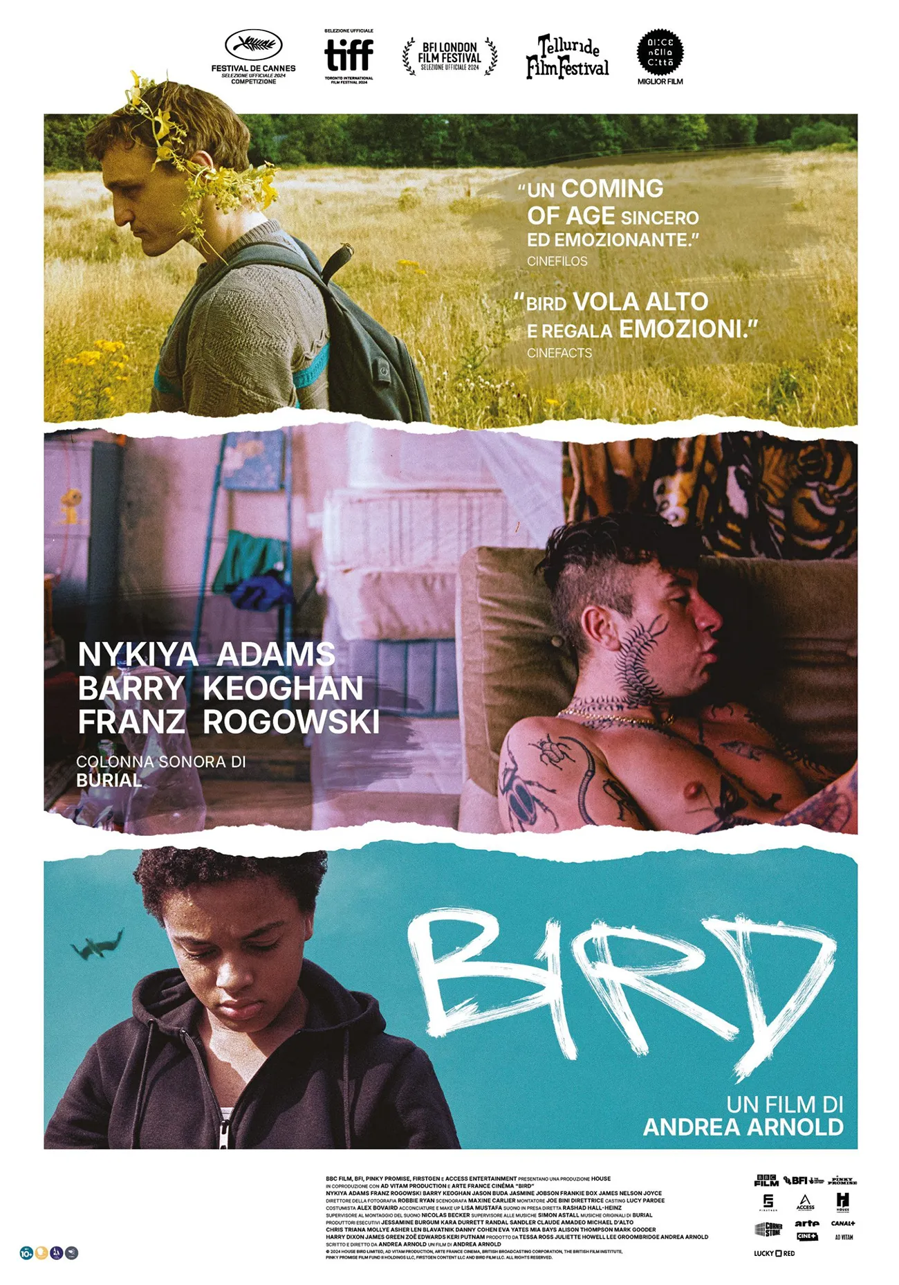 immagine per Bird, di Andrea Arnold