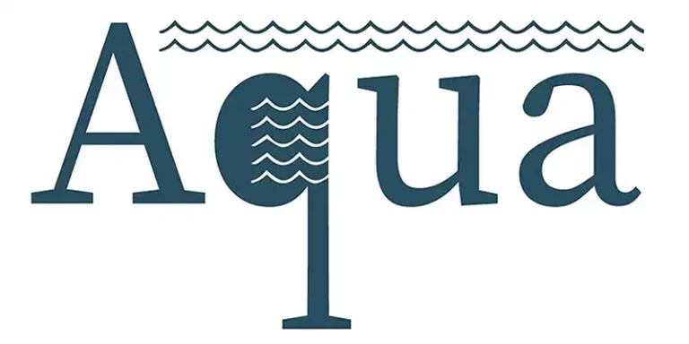 immagine per Festival Aqua