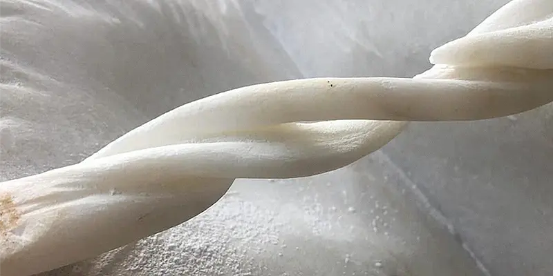immagine per Carrara Studi Aperti 2025