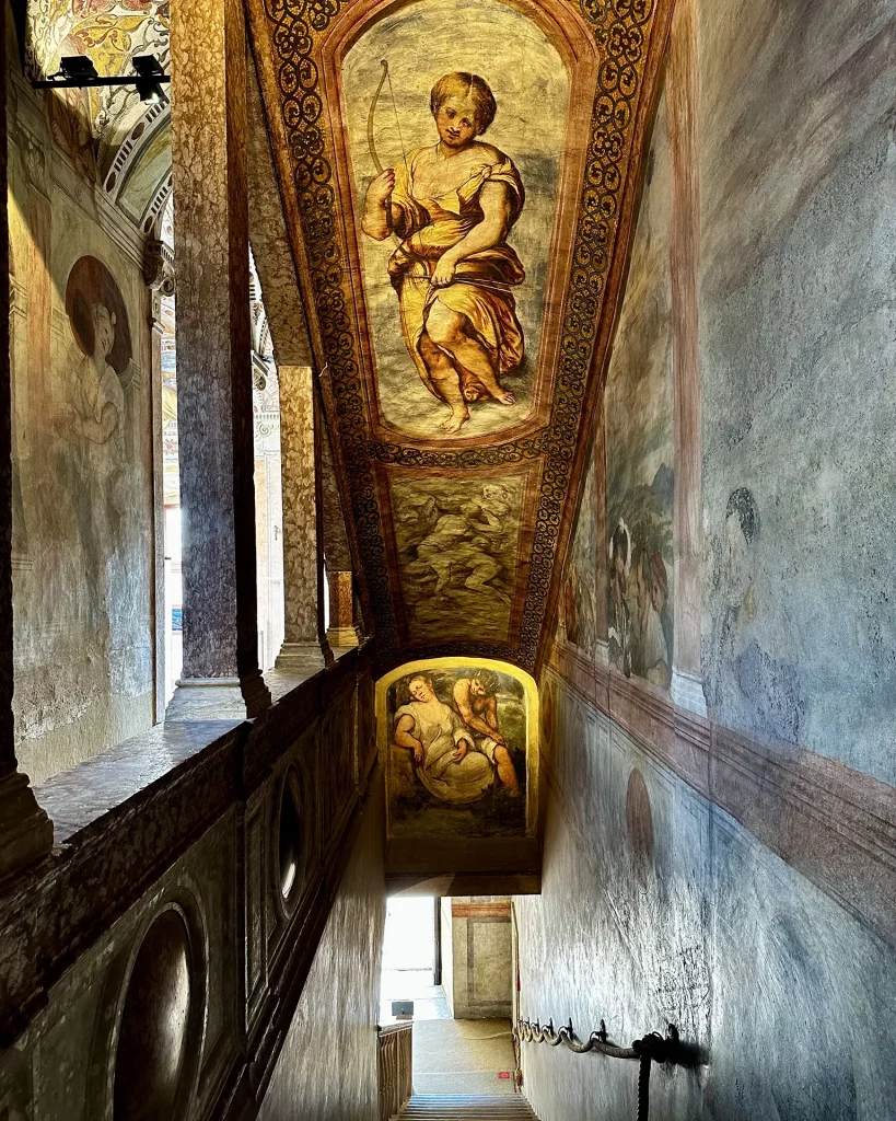 immagine per