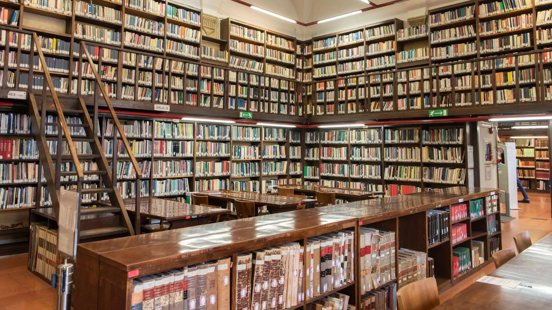 immagine perBiblioteca di Archeologia e storia dell'arte - Palazzo Venezia