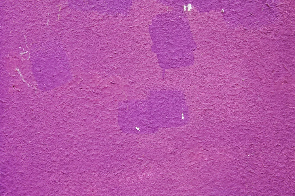 immagine per Massimo D’Amato, Piazza dei Ciompi - Le Pulci Scomparse, 2016. Stampa da file digitale.