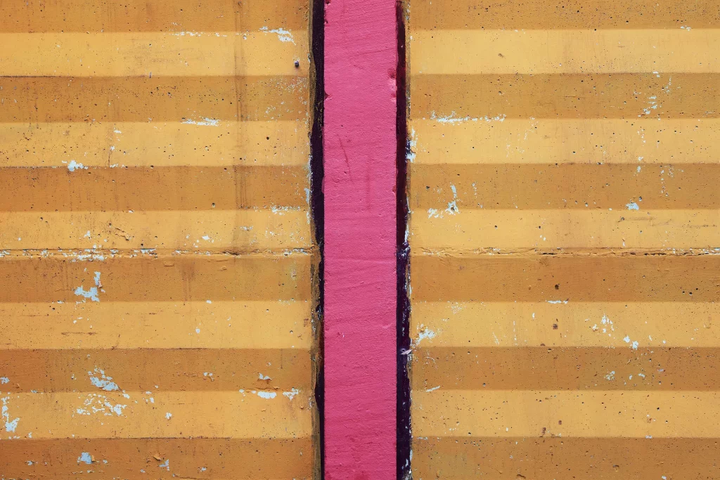 immagine per Massimo D’Amato, Piazza dei Ciompi - Le Pulci Scomparse, 2016. Stampa da file digitale.