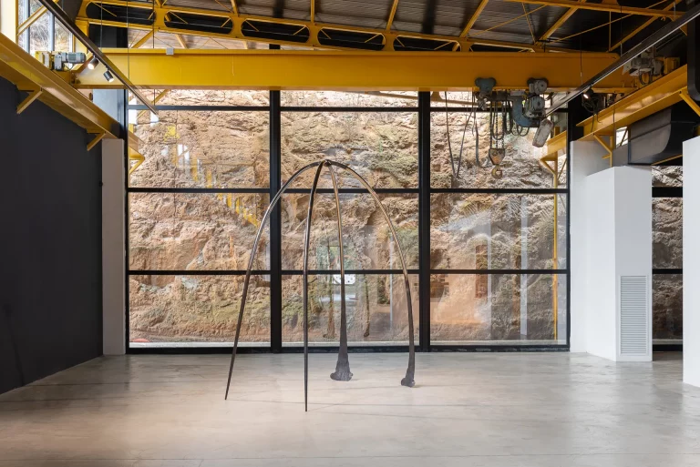 immagine per Lulu Nuti FondazioneDARC ph. Eleonora Cerri Pecorella