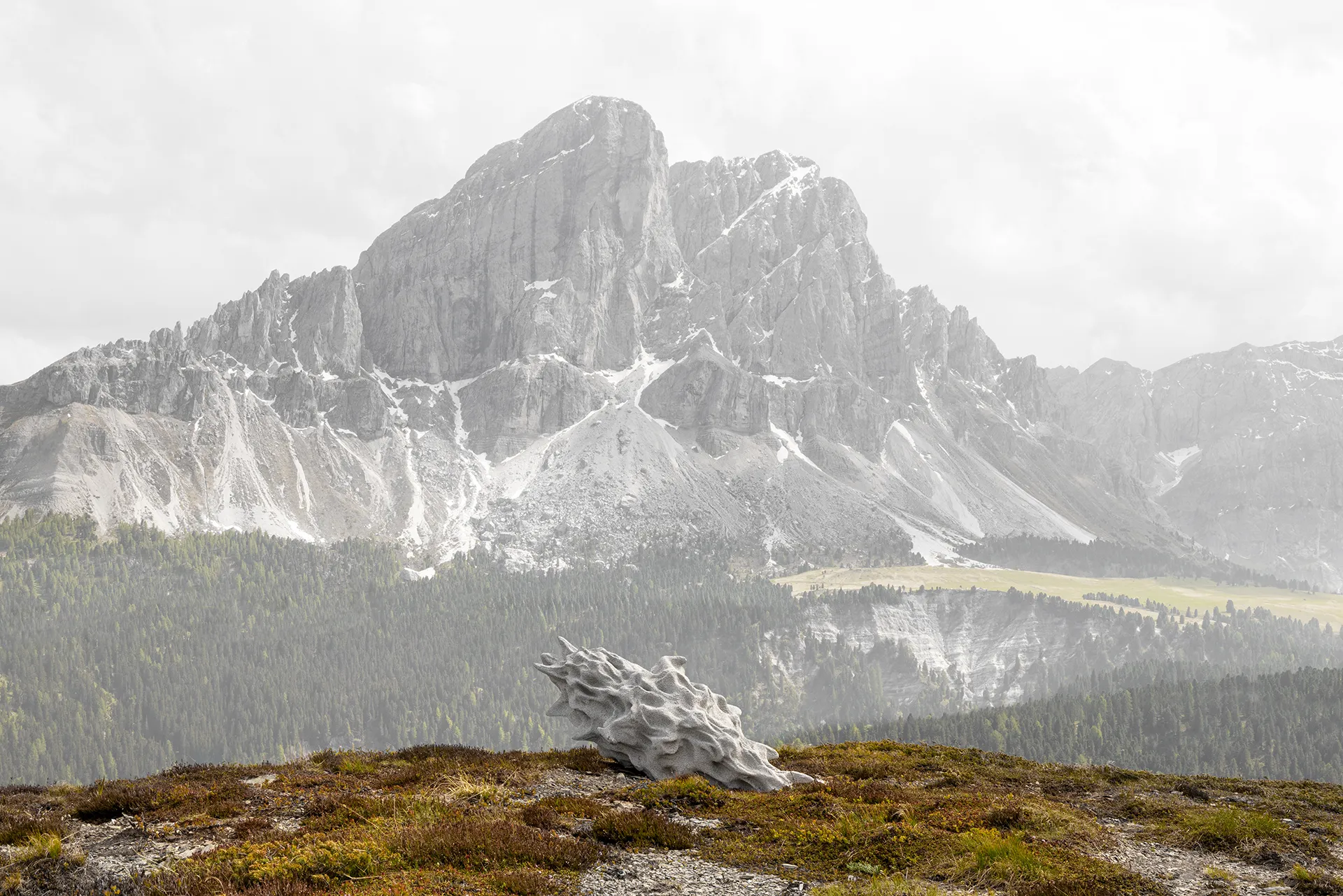 immagine per Elias Jocher “Morph Module” Italy, Austria - Località: Monte Muro
