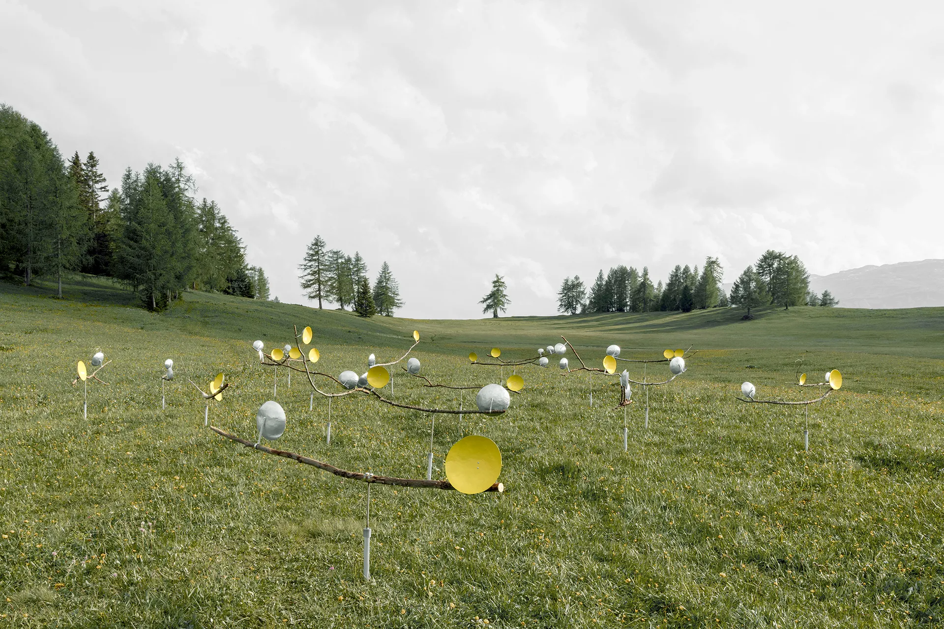 immagine per Lola Giuffré (Studio Lola) “Sway” Australia, Holland - Località: Armentara