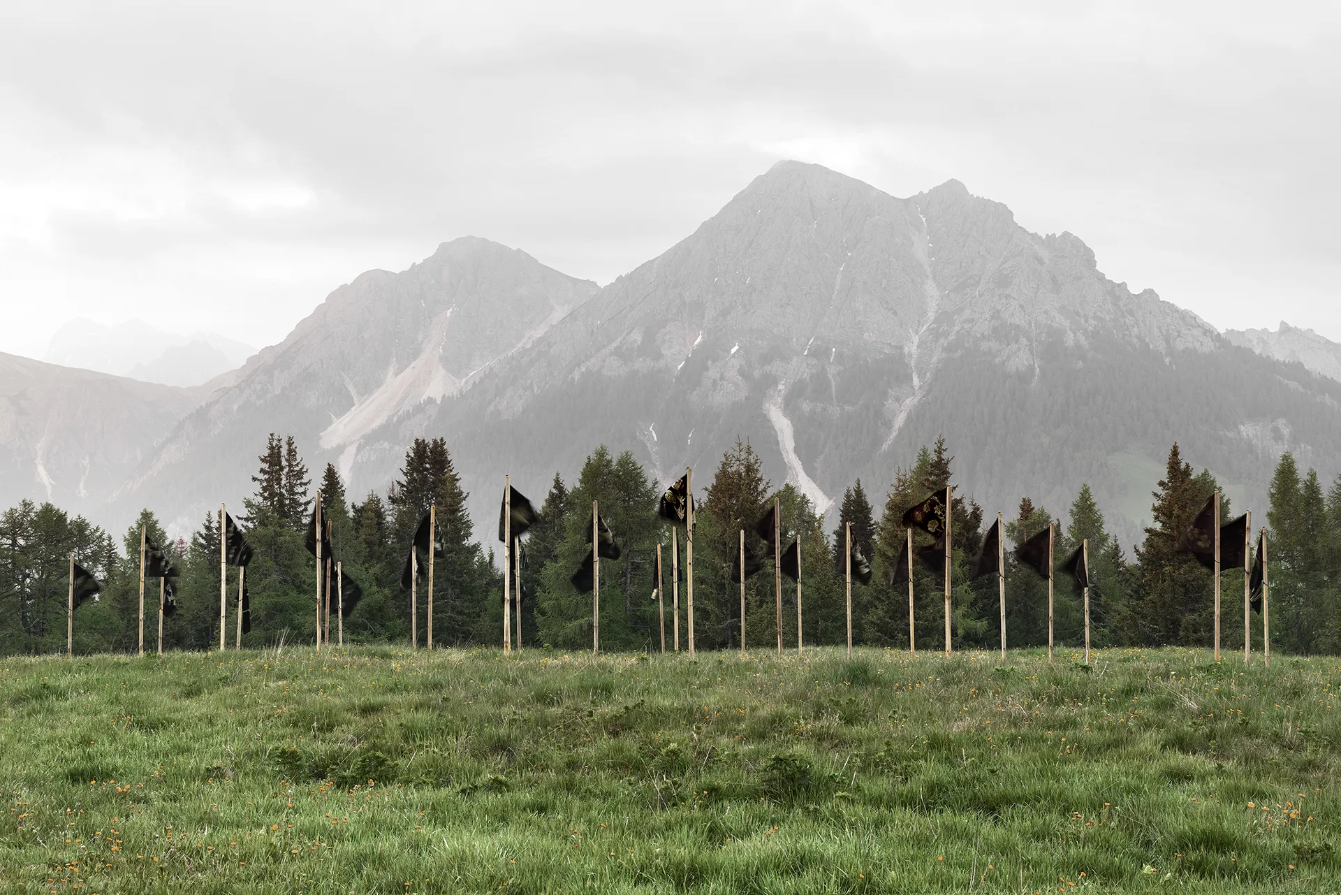 immagine per Riccardo Buonafede “Hortus Pictus” Italy - Località: Plan de Corones