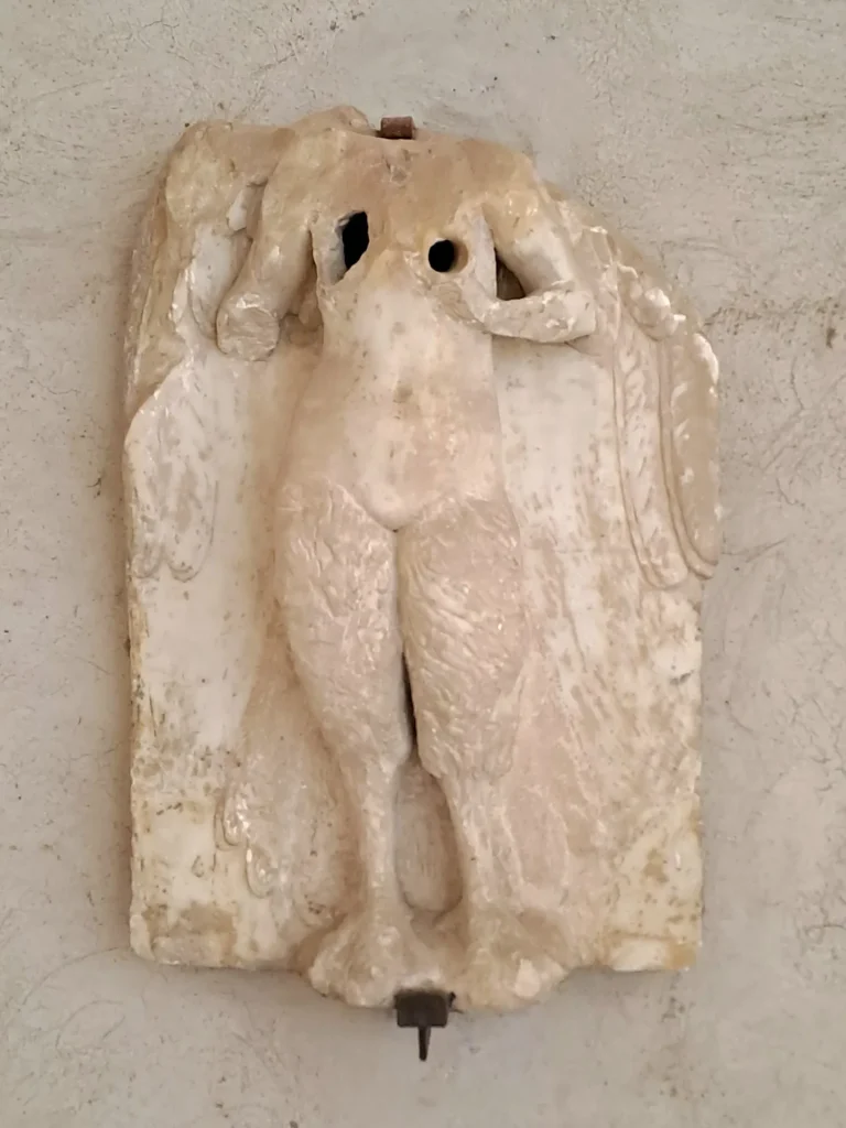 immagine per 4.Sotterranei Gotici-Museo di San Martino- Sirena Spina Corona, originale ph Enza Monetti.jpg