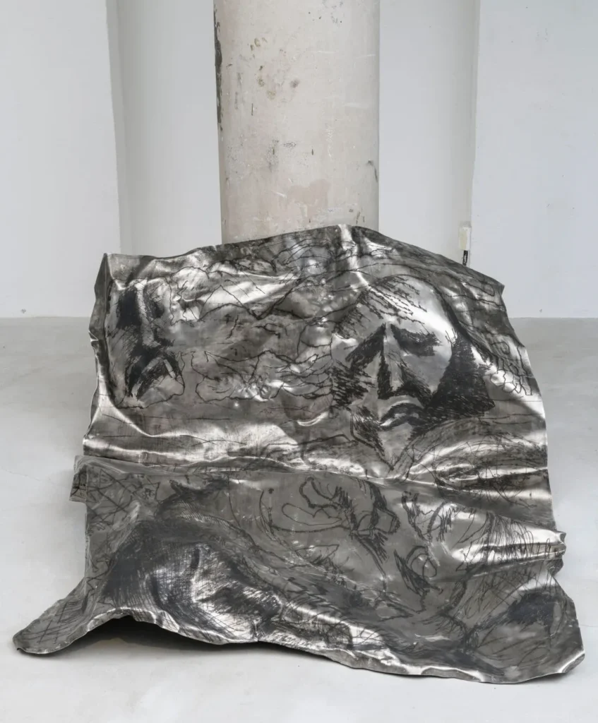 immagine per CANEMORTO installation view Megalomanie. Courtesy Fondazione Nicola Del Roscio