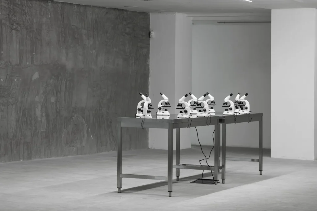 immagine per CANEMORTO installation view Megalomanie. Courtesy Fondazione Nicola Del Roscio