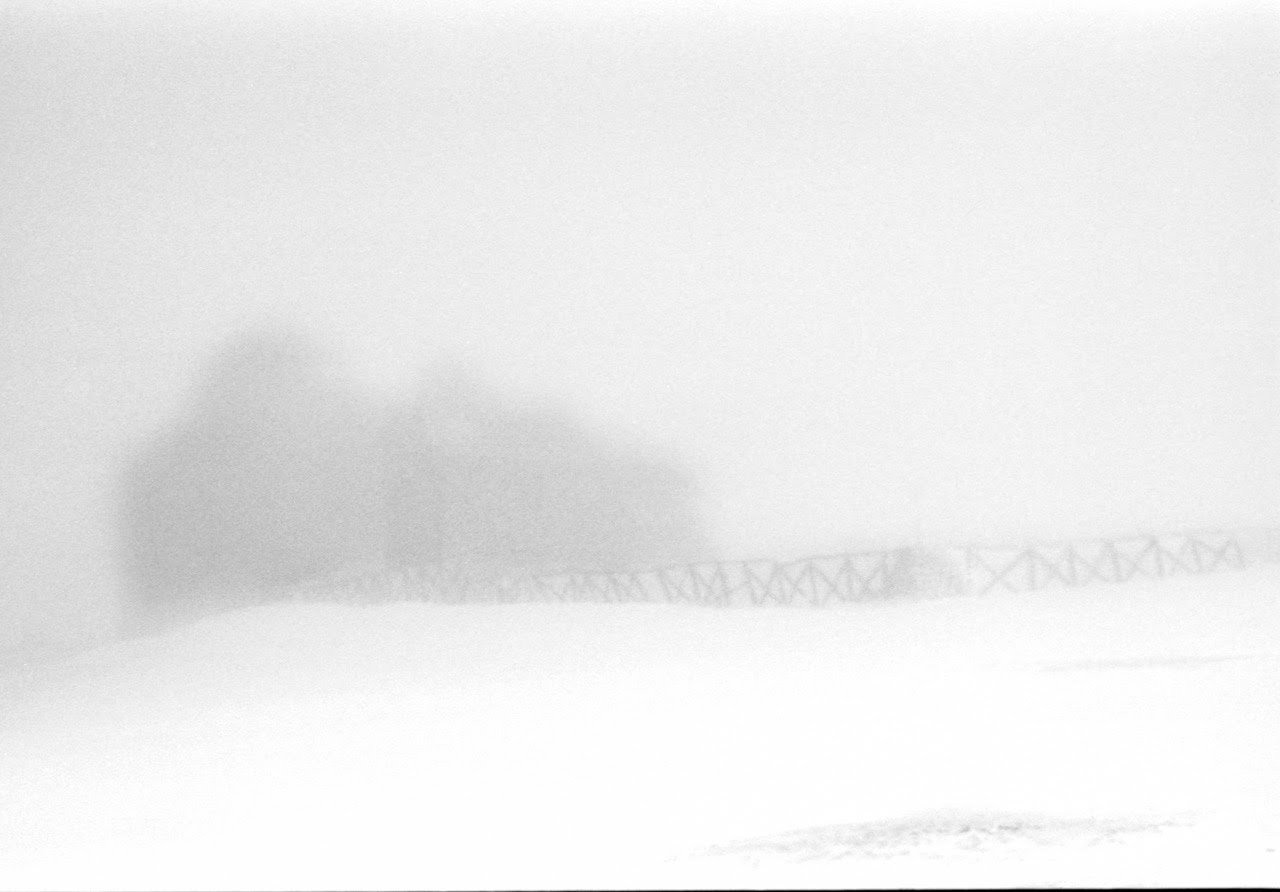 immagine per Giorgio Cutini, Bianco