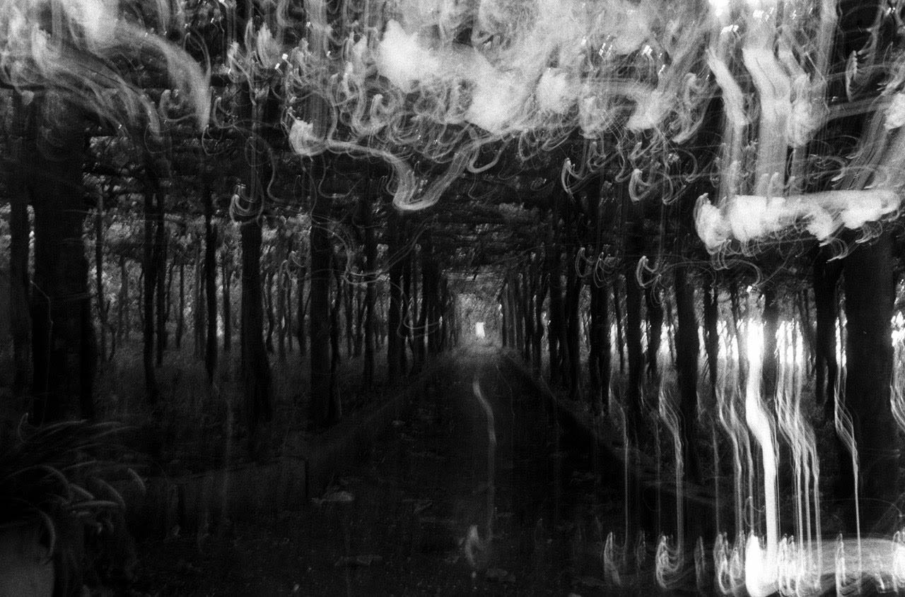 immagine per Giorgio Cutini, Inquietudine, Viale delle idee