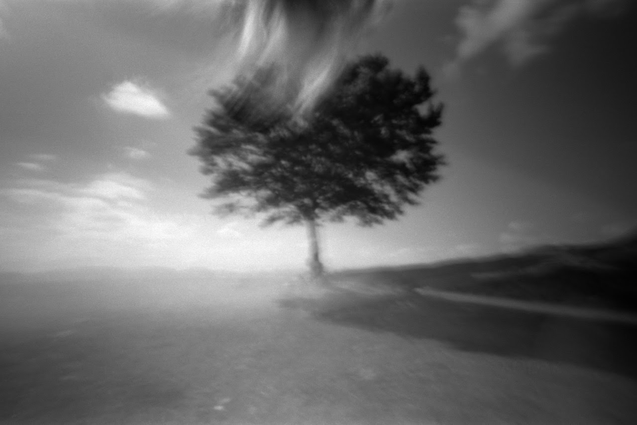 immagine per Giorgio Cutini, Intimità