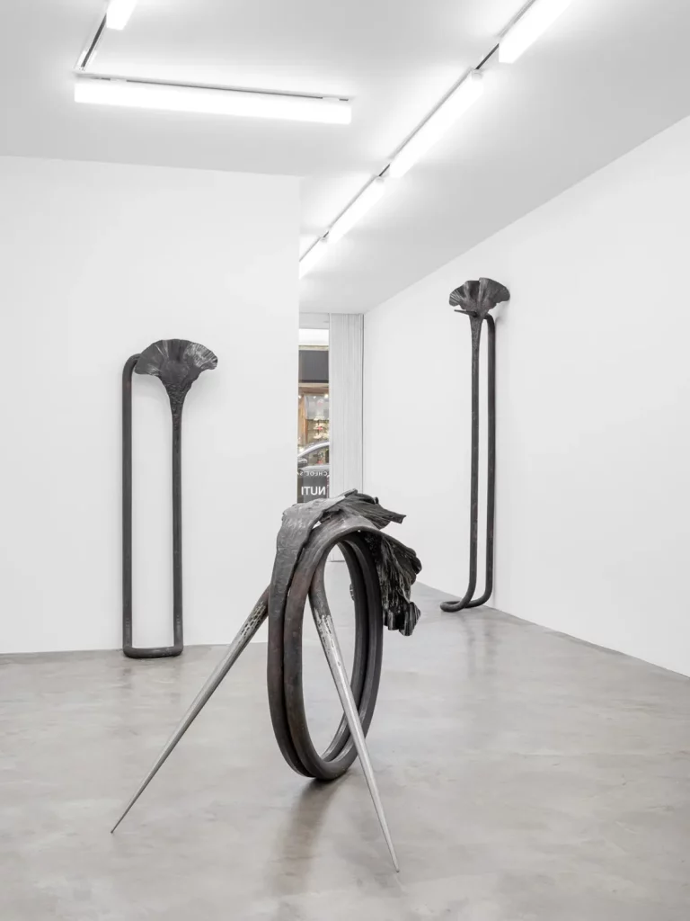immagine per Lulù Nuti – Tube – Installation view – courtesy Galerie Chloe Salgado, Parigi- photo © Gregory Copitet