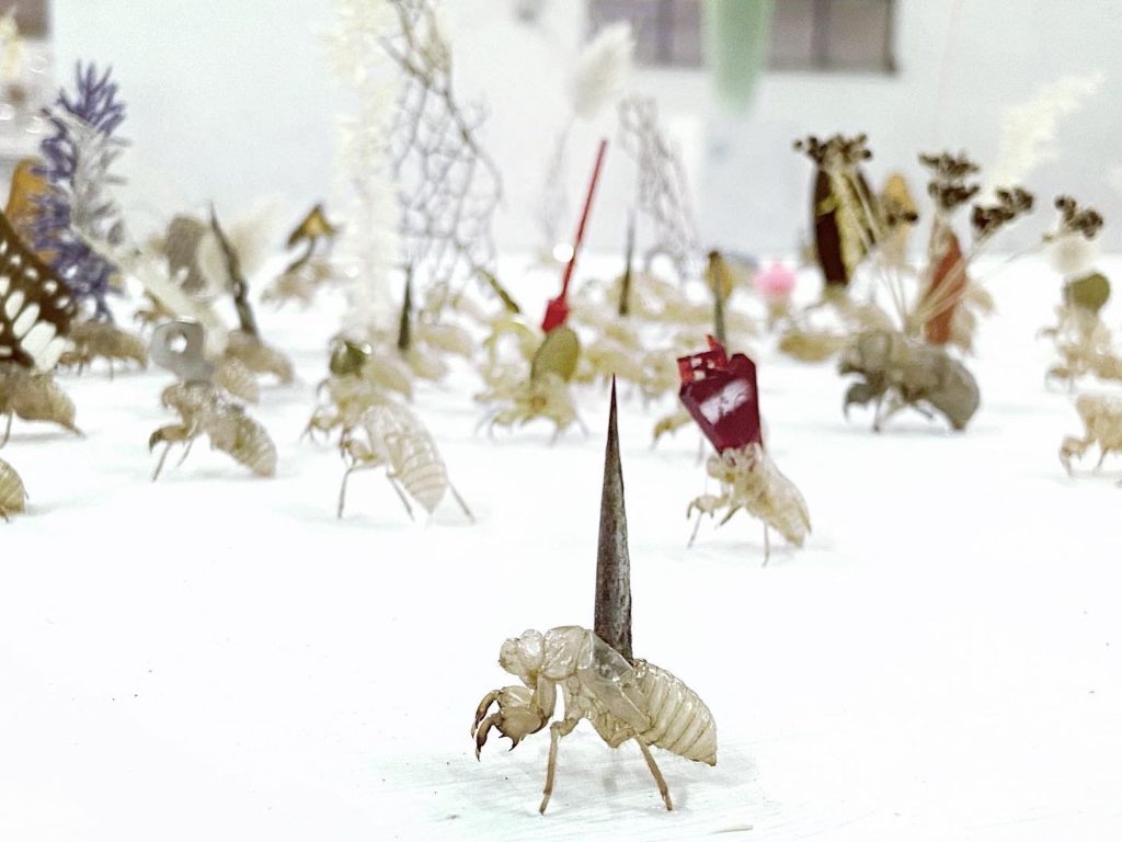 immagine per Alice Padovani