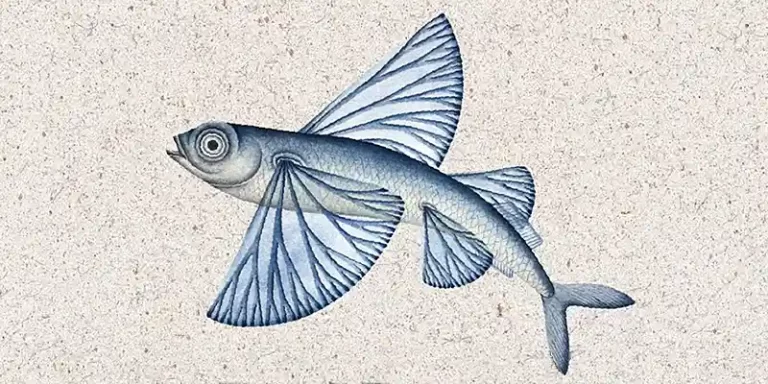 immagine per FraleMura Festival