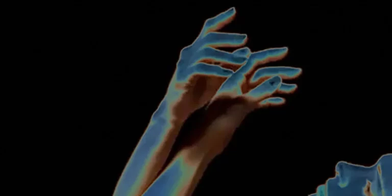 immagine per La Nuit Des Étoiles