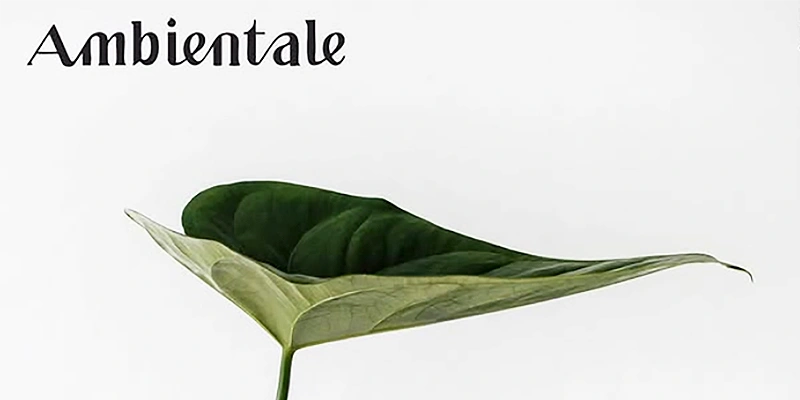 immagine per Ambientale Art Festival