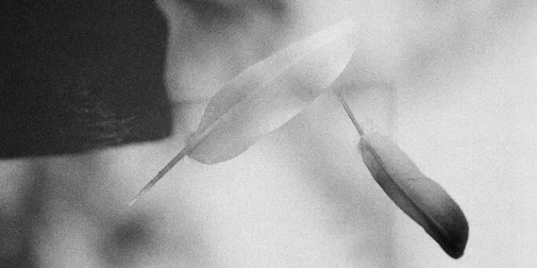 immagine per Giorgio Cutini