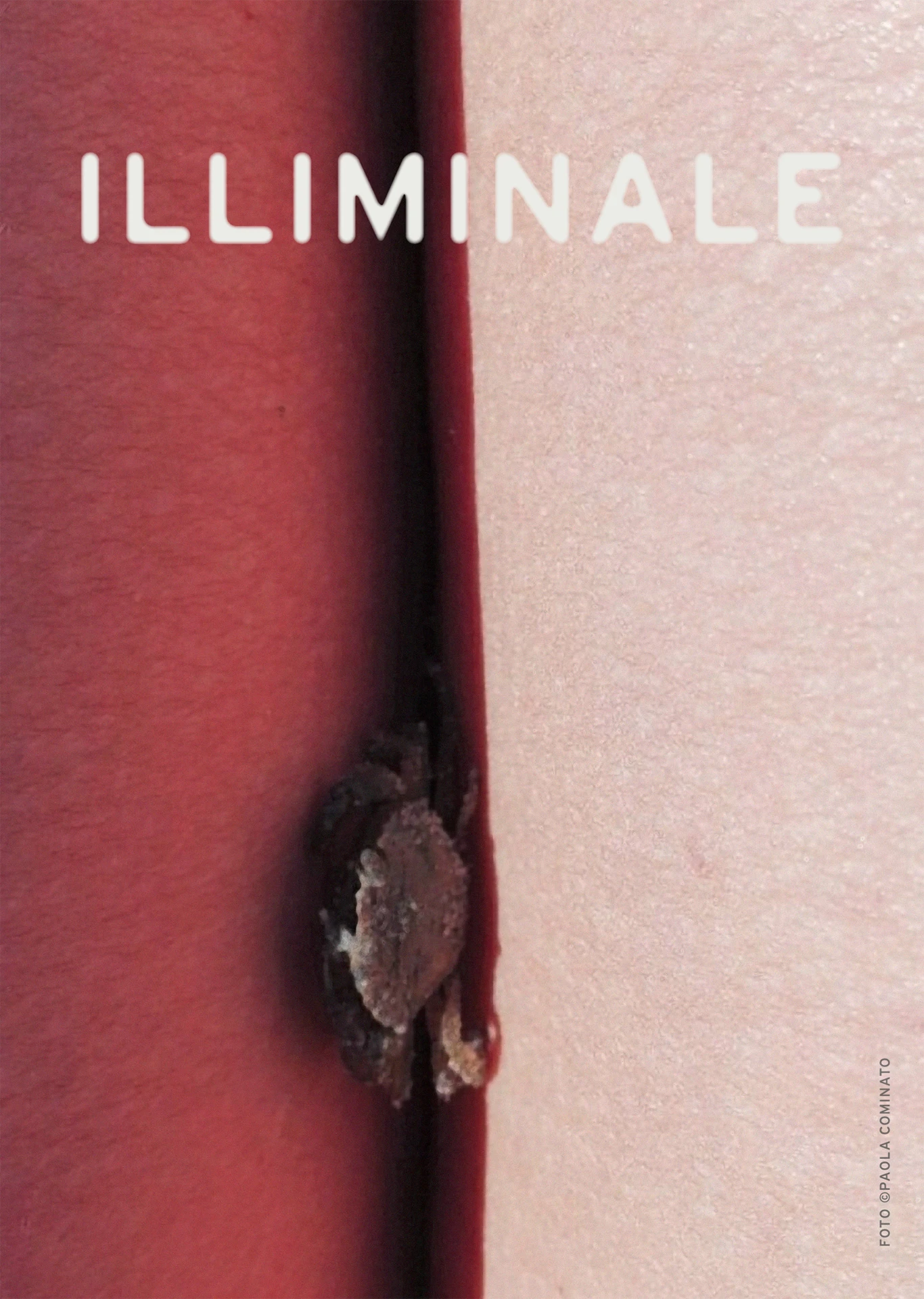 immagine per Illiminale. Un progetto di associazione culturale O.S.A. per l’arte contemporanea