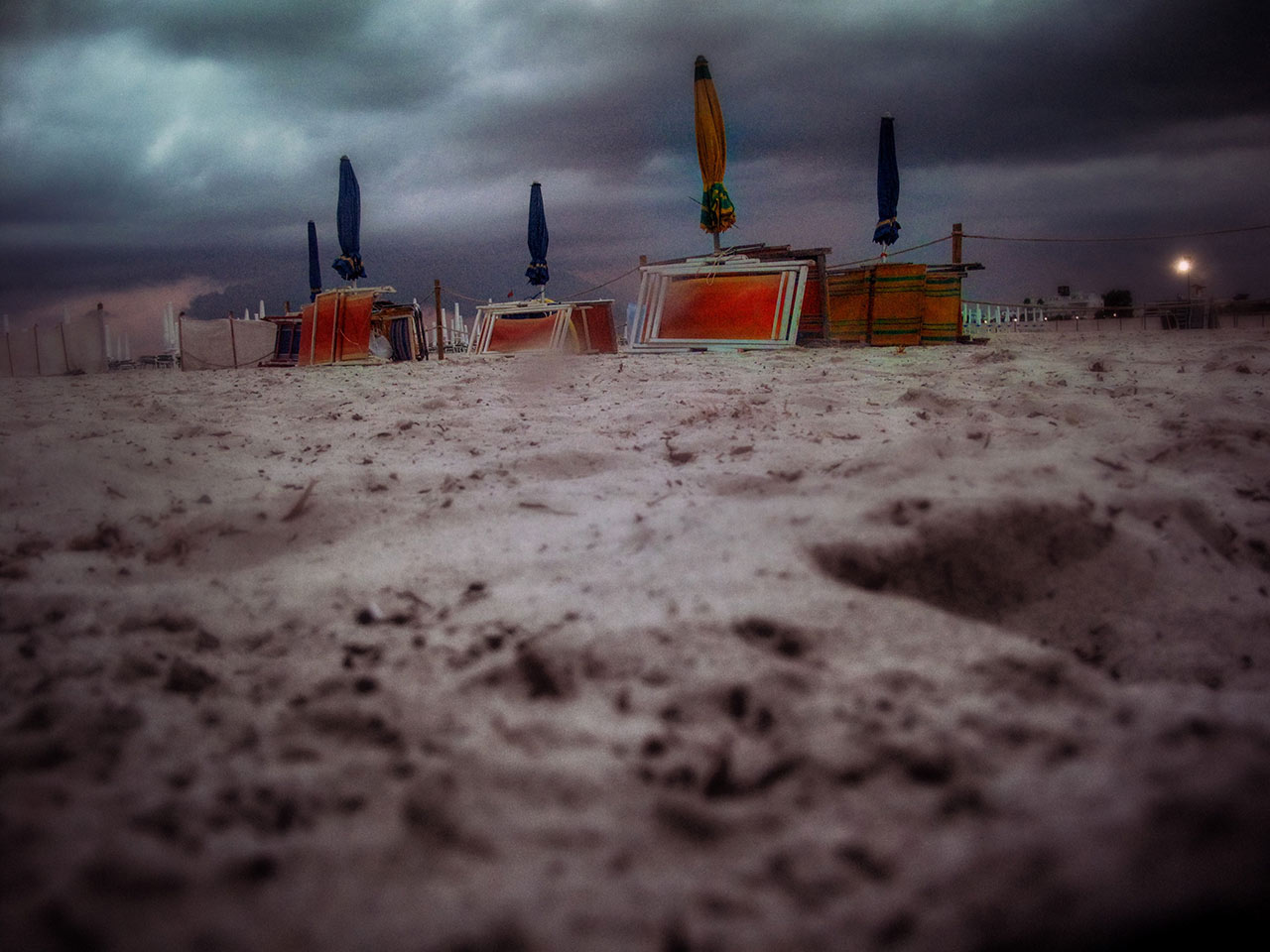 immagine per Federico Garibaldi, La Stagione della sabbia. Serie blueShores