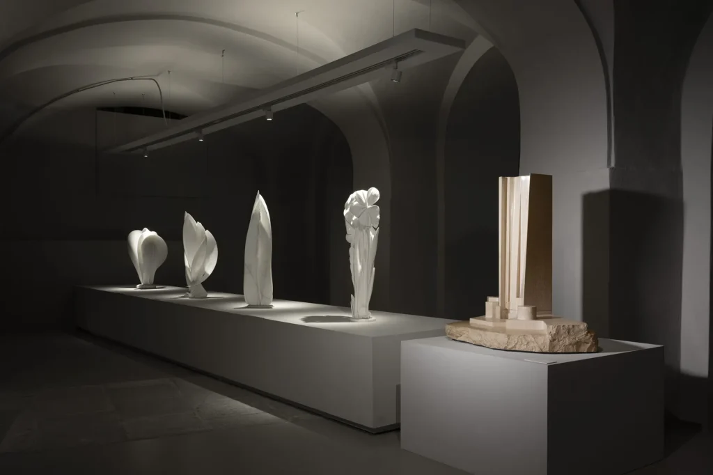 immagine per Allestimento Museo Guadagnucci © Nicola Gnesi