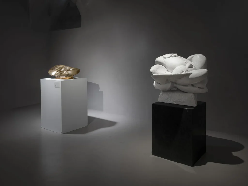 immagine per Allestimento Museo Guadagnucci © Nicola Gnesi