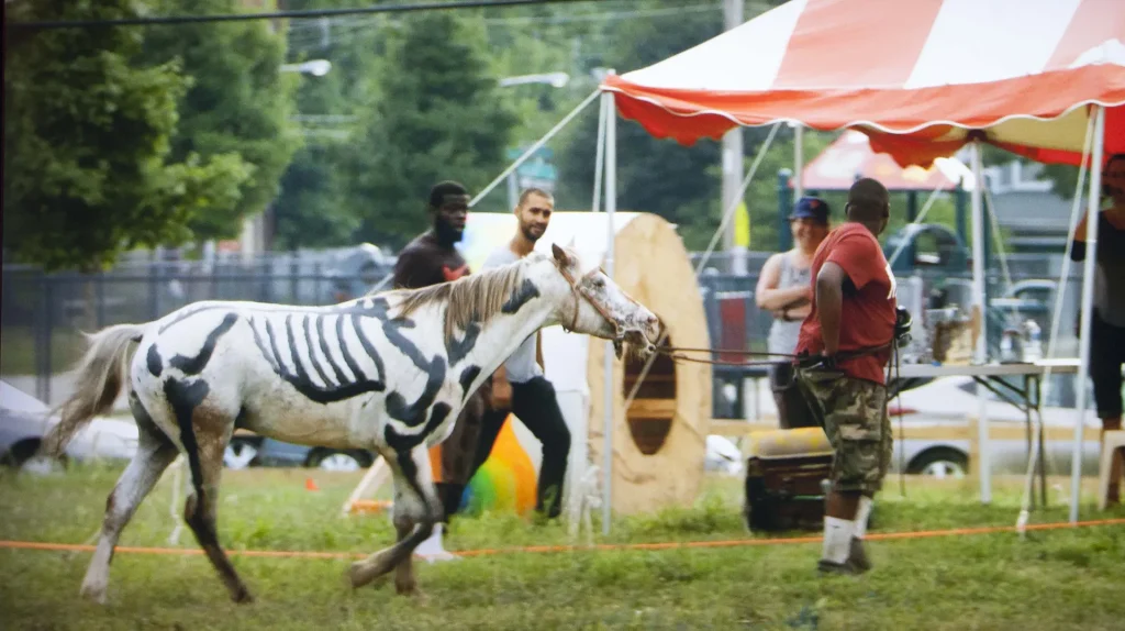 immagine per MAST - Horse Day 2 (frame da video) - Mohamed Bourouissa - ph. Cristina Villani