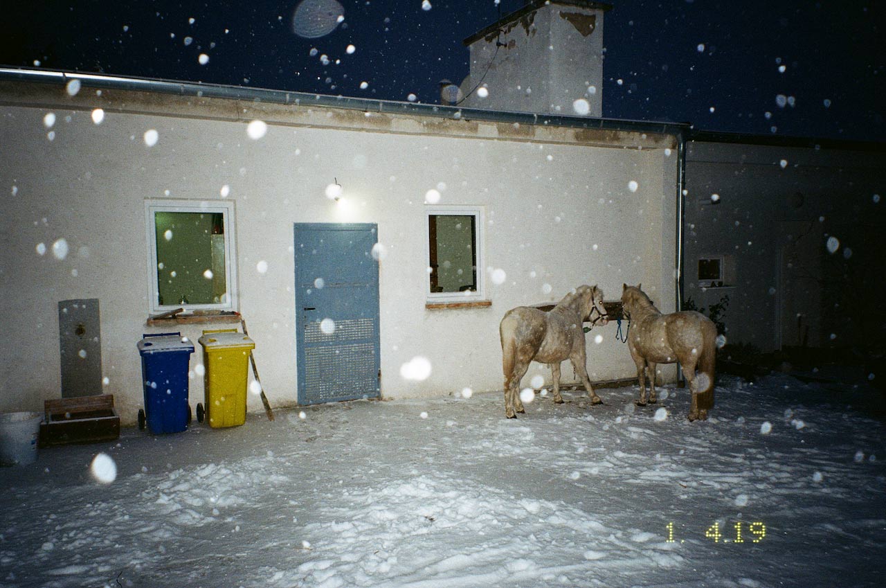 immagine per Marie Tomanova, It Was Once My Universe