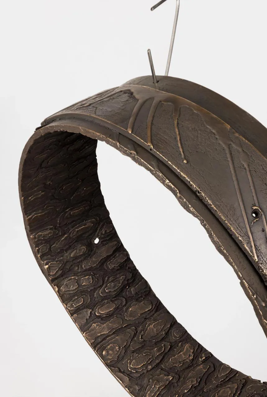 immagine per Secret Garden - Alfredo Aceto, Trap, 2025, bronzo, 20 x 51 x 6,5 cm (ph: Andrea Rossetti)