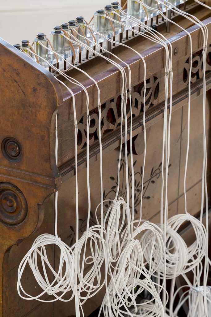 immagine per Mohri Entanglements HangarBicocca