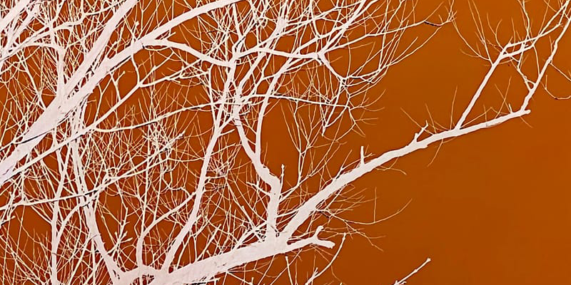 immagine per Eileen Quinlan, The Loop. Vistamare, Milano