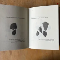 immagine per Lunario per sonnambuli di Zaelia Bishop. Libro d’artista come epistemologia della penombra
