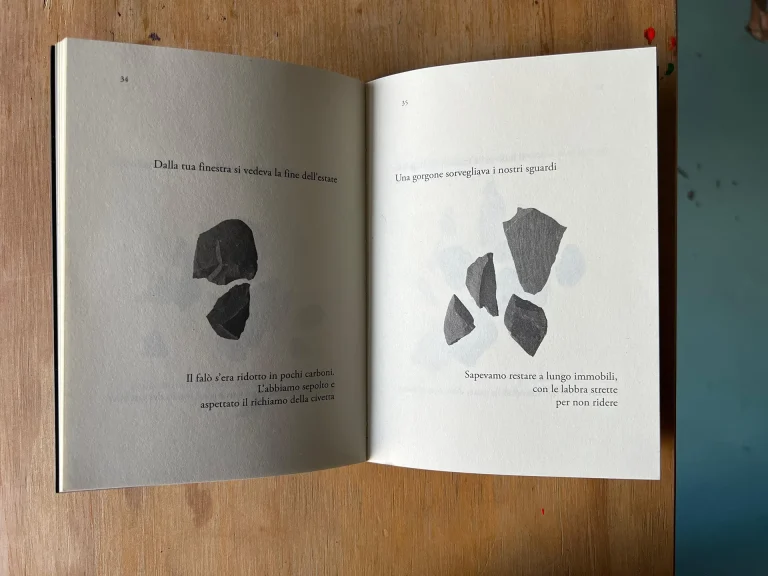 immagine per Lunario per sonnambuli di Zaelia Bishop. Libro d’artista come epistemologia della penombra