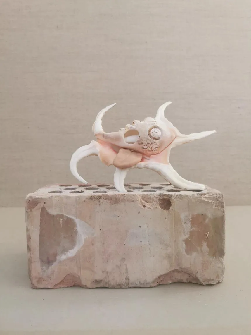 immagine per Secret Garden - Raphael Danke, Molusce, 2025, conchiglia, materiale per modellazione 24 x 24 x 12 cm