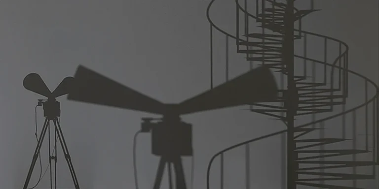 immagine per Mohri Entanglements HangarBicocca