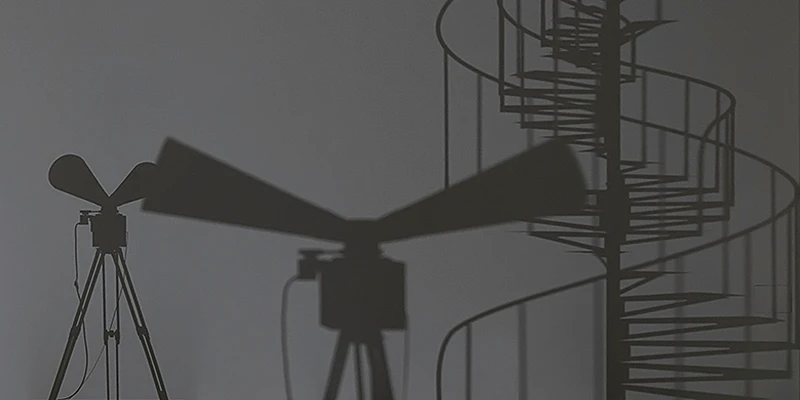 immagine per Mohri Entanglements HangarBicocca
