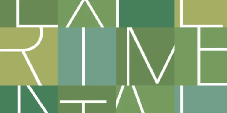 immagine per Experimental Vim 2025. Cinque performance senza pubblico