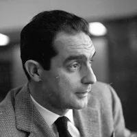 immagine per italo calvino